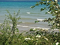 Western Michigan [2010] 572